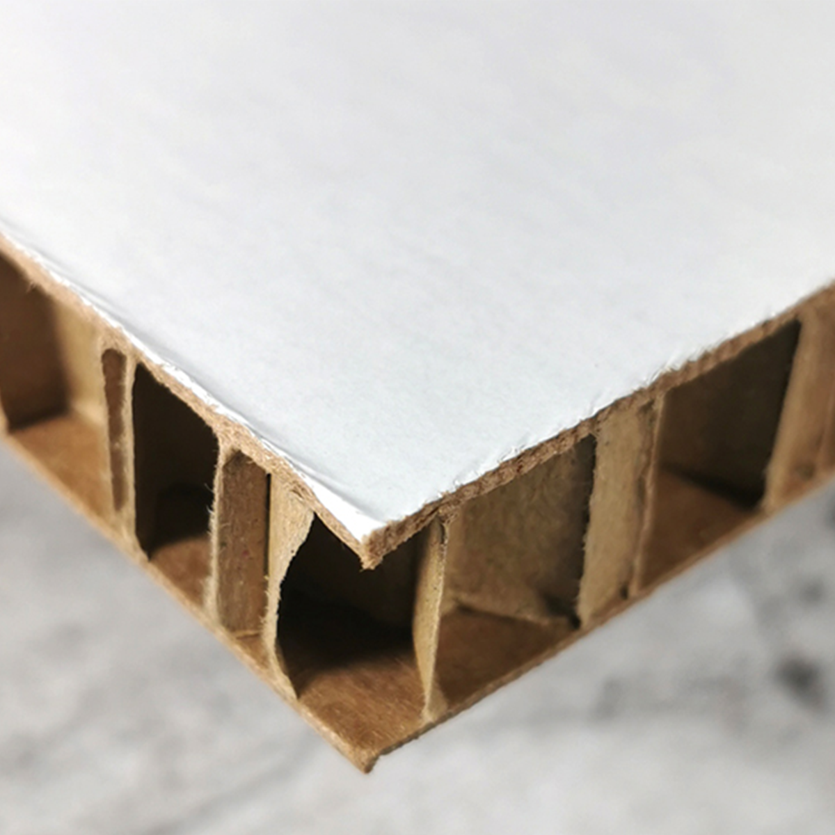 Cartón nido de abeja blanco de 15 mm para impresión y displays.